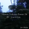 Joe Okuda - Hawaii Volcano Forest 24 #1 -06am to 09am- ('Normalize Volume' flag OFF Recommended)